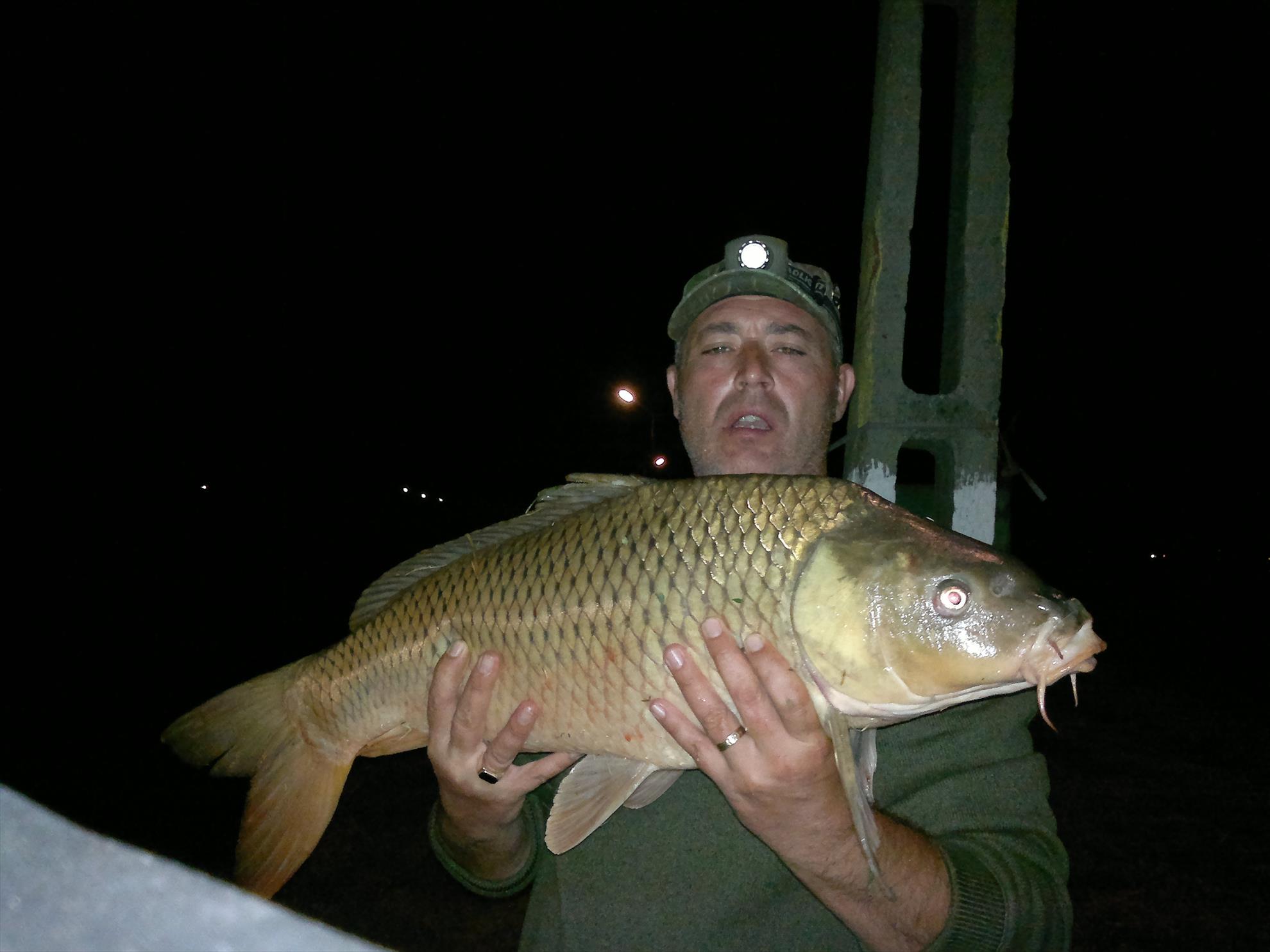 CATALIN DUTULESCU - picture-018.jpg